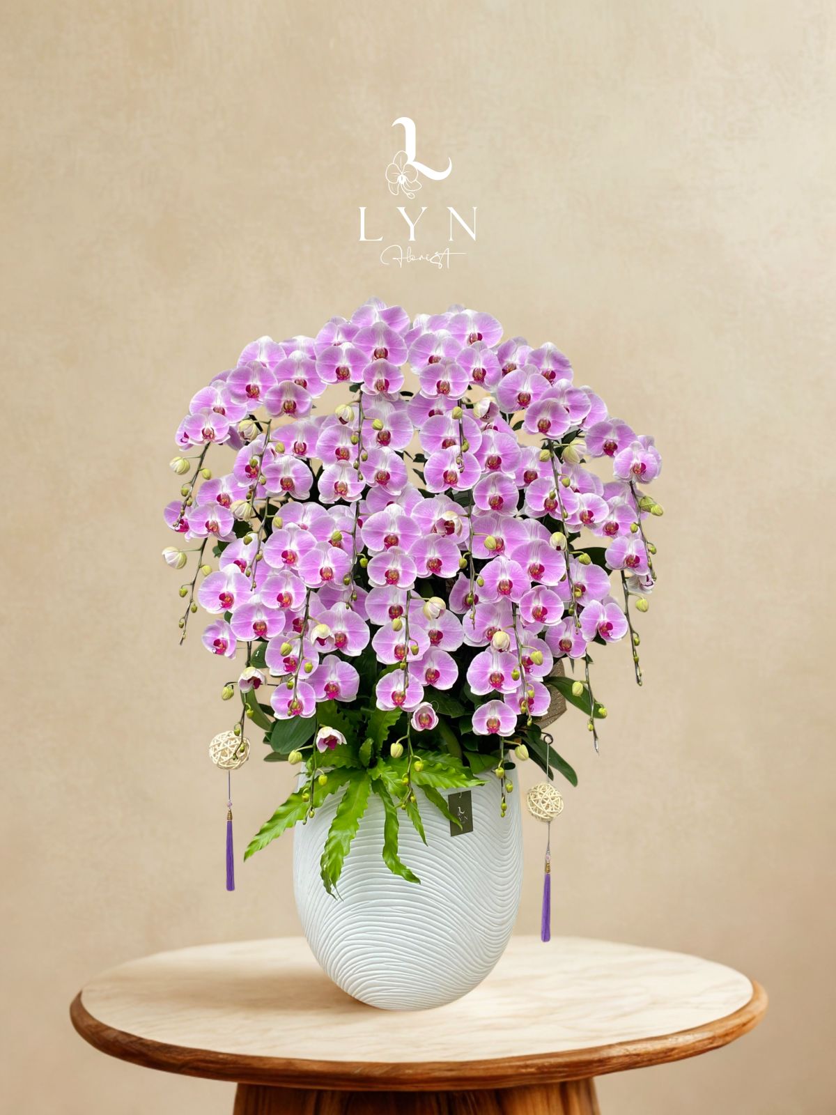 Chậu Hoa Lan Hồng 143